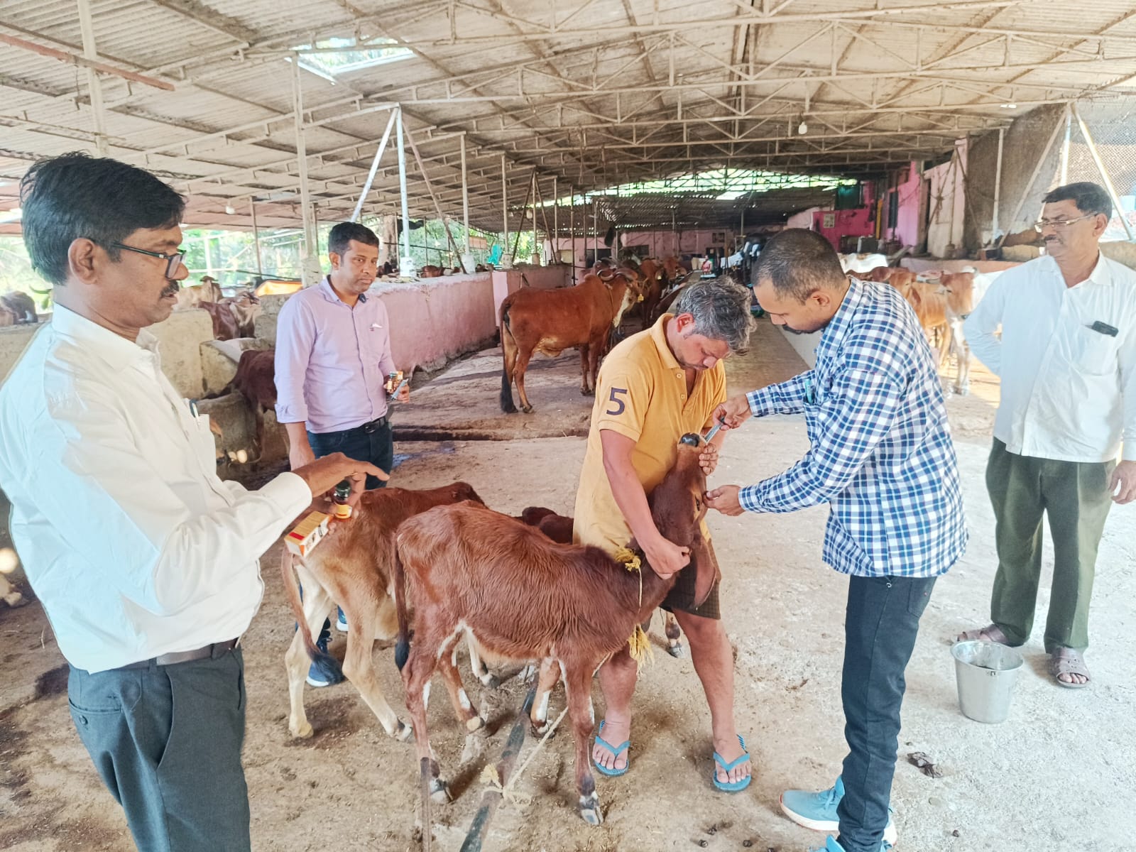 Mass Deworming At Adopted Village